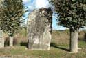 Zoom : le menhir de la Pierre droite