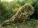 Le menhir des Bois de Forville  : 600x400 44 ko