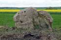 Zoom : menhir du Ronceau