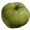 Zoom : 400x600